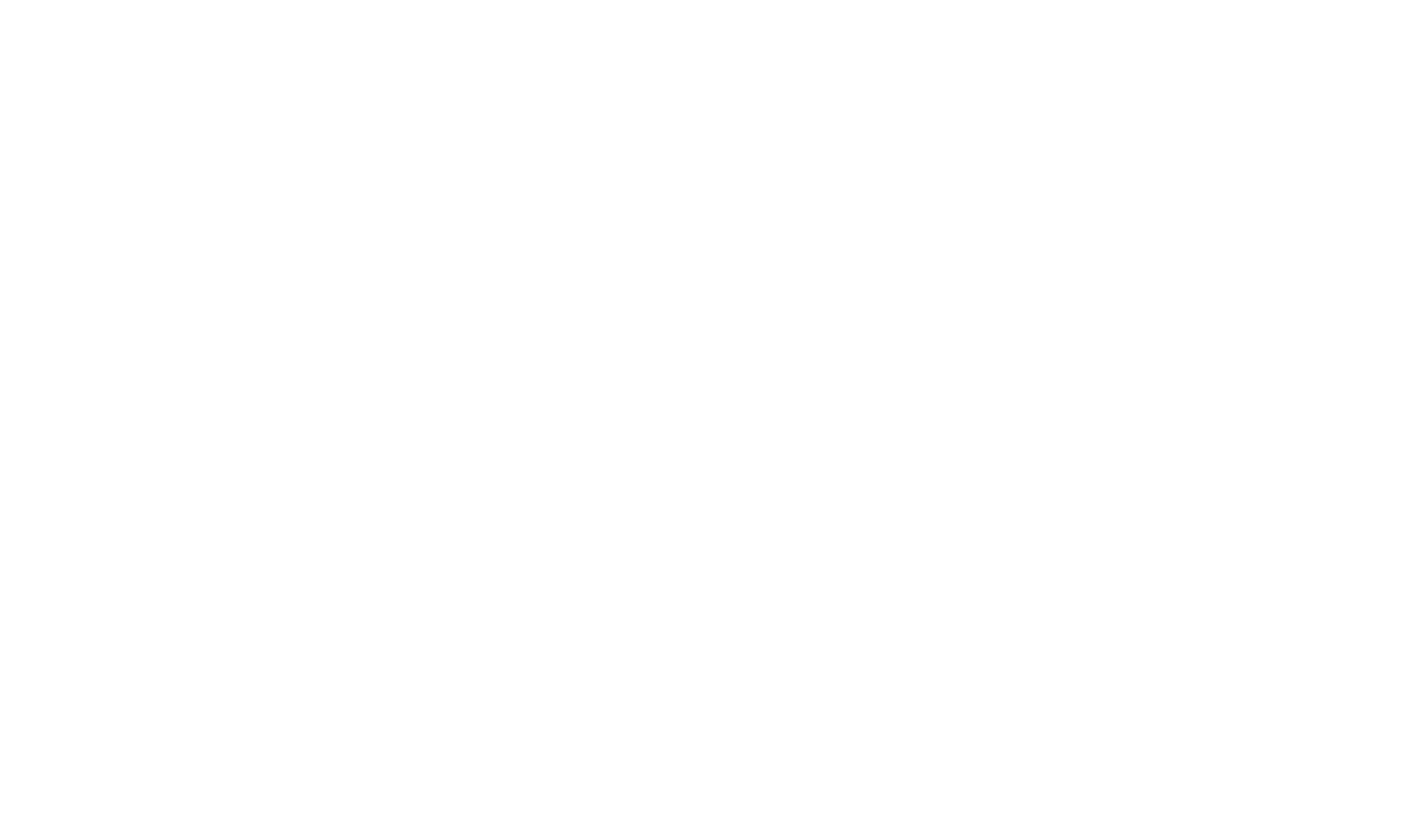 Nova Twins Logo